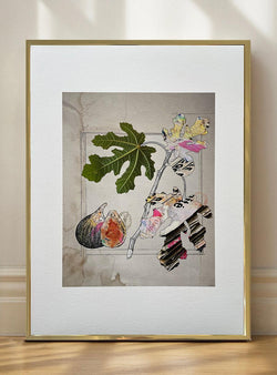 Fig Tree