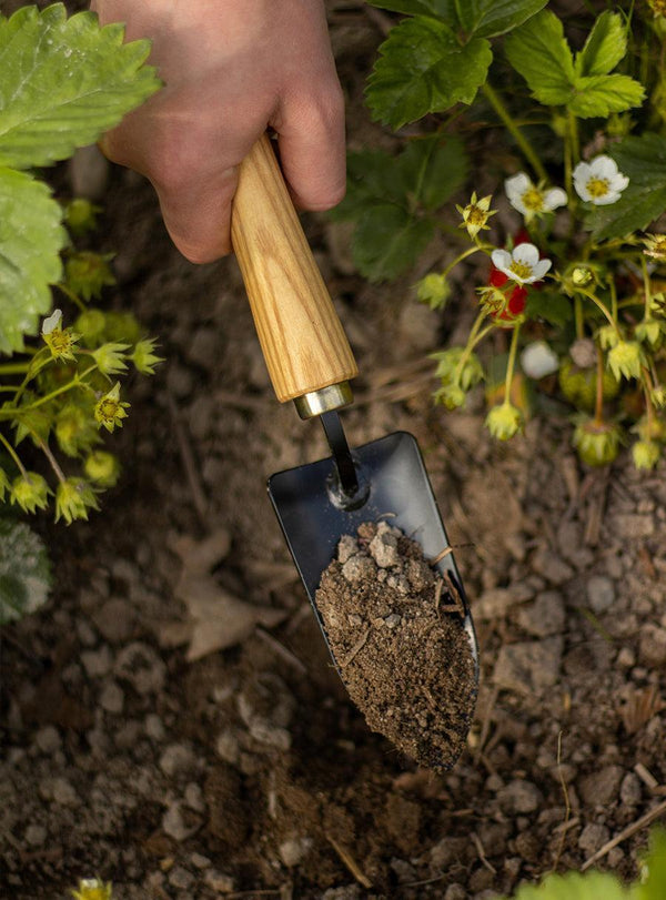 Small Japanese Garden Trowel