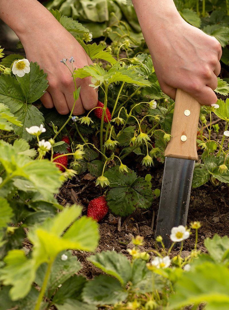 Hori Hori - Japanese Gardening Tool with Canvas Case