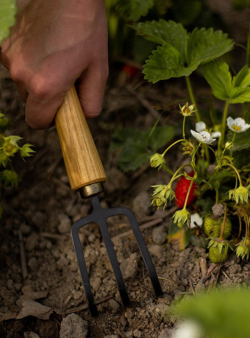 Small Japanese Cultivator