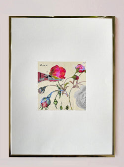 Rosier