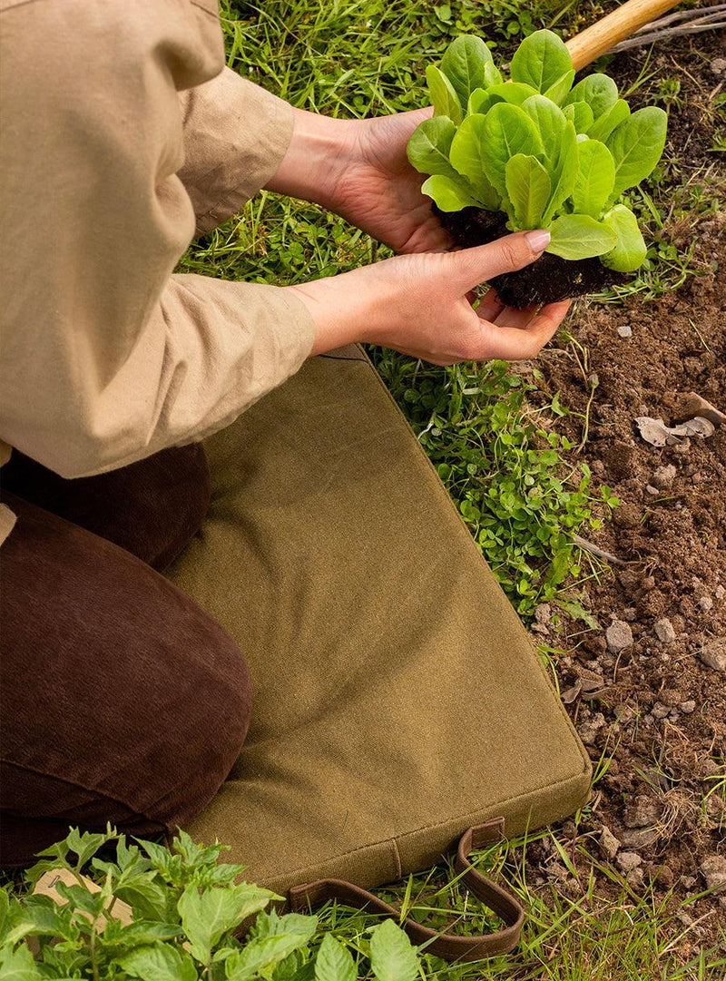 Garden Kneeler