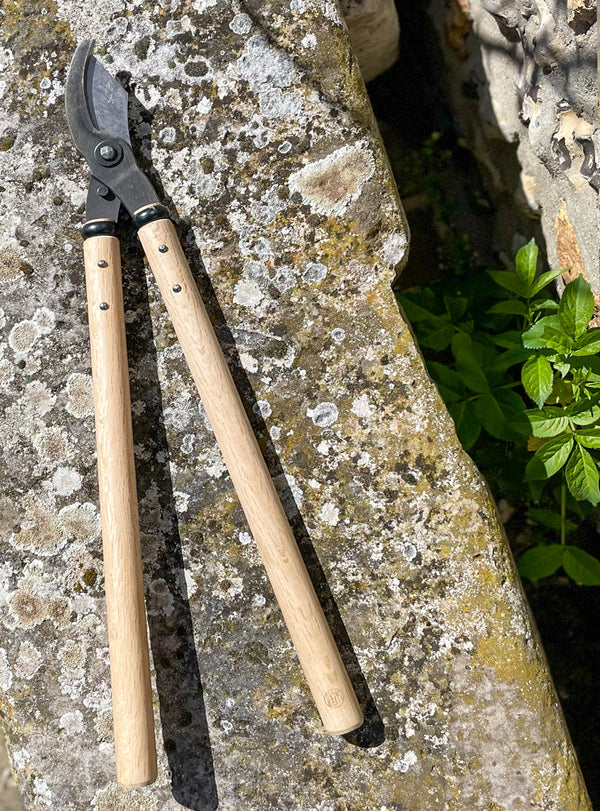 Sentei ciseaux de jardin par Niwaki chez Maison Godillot