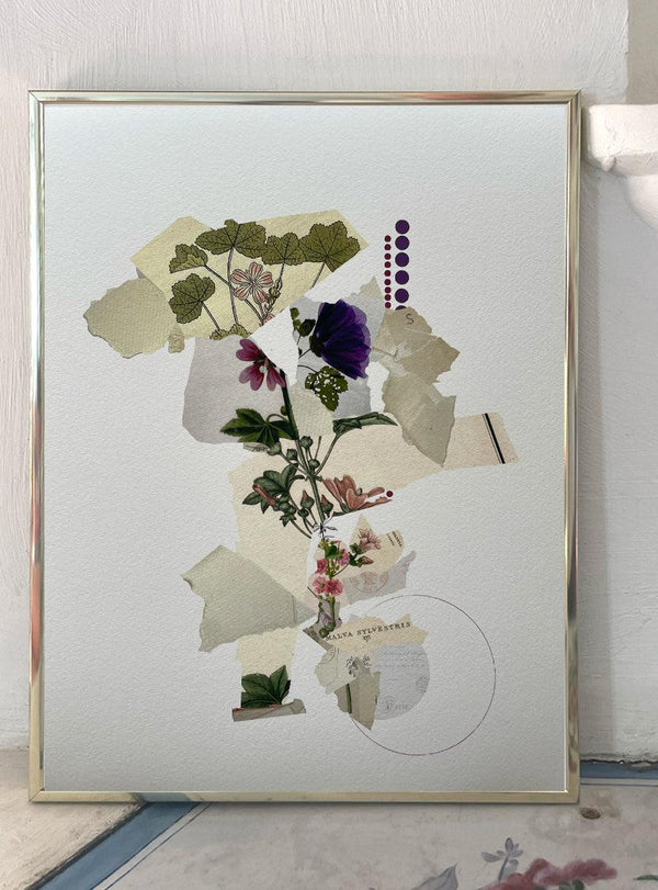 Mallow Flower