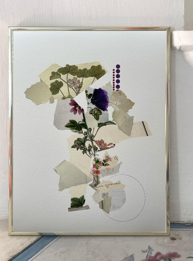 Mallow Flower