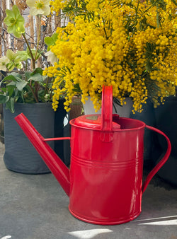 Arrosoir en métal 5L - rouge