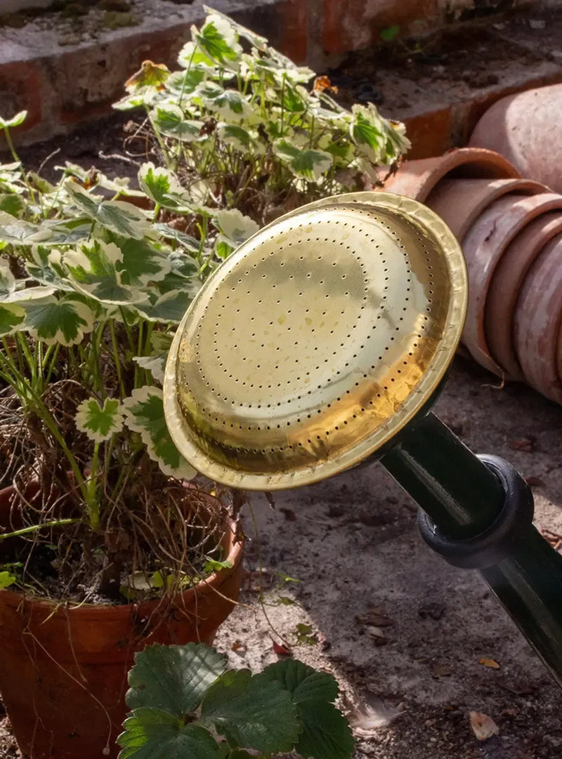 Large Metal Watering Can 9L - Green