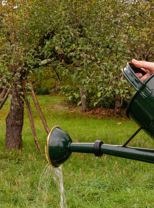 Large Metal Watering Can 9L - Green