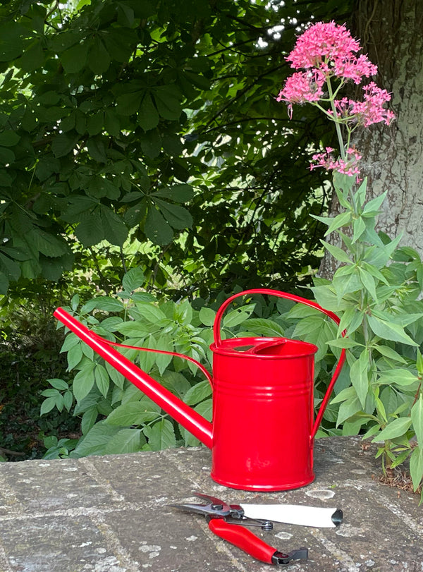 Metal Watering Can 1.5L - Red