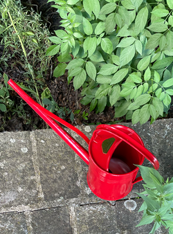 Metal Watering Can 1.5L - Red
