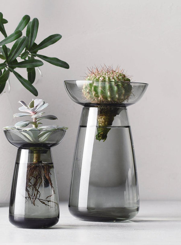 Aqua culture vases in gray glass - Duo