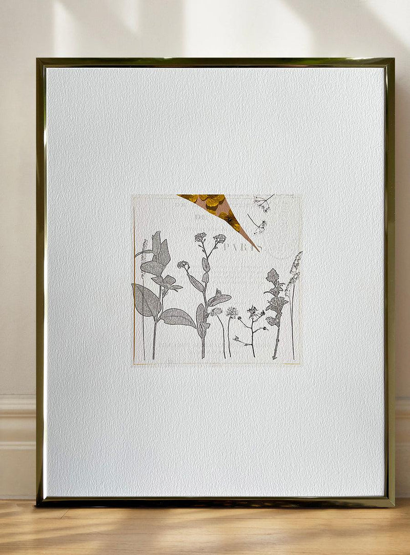 Illustration - Herbes folles-Les Fleurs Pressées-Jardiniste