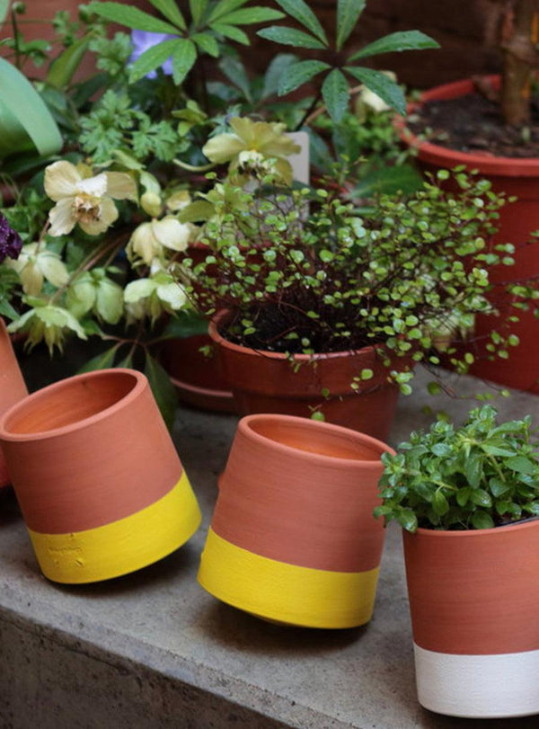 Pot de fleurs toupie - jaune-Livingthings-Jardiniste