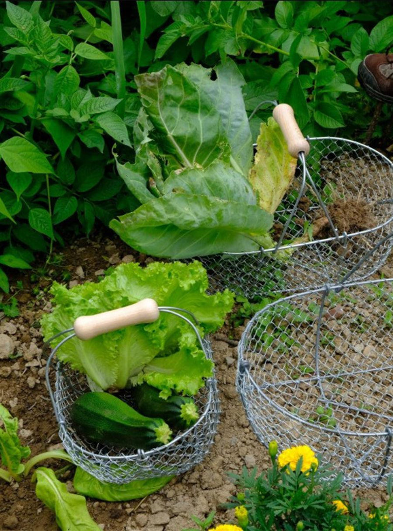 Panier de jardin en fil de fer tressé-Aert-Fil-Jardiniste
