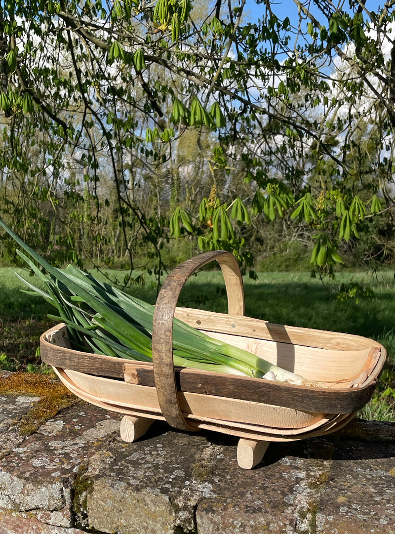 Petit Panier de jardin Royal Sussex Trug - Longueur 38cm