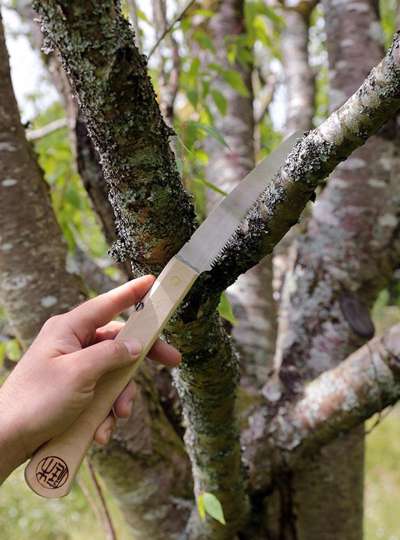 Scie japonaise de jardin pliante-Niwaki-Jardiniste