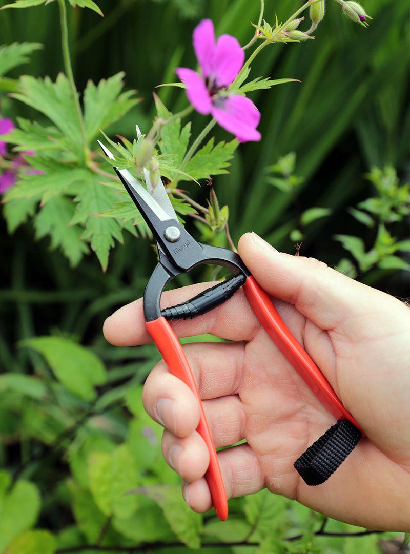 Sécateur japonais à fleurs-Niwaki-Jardiniste