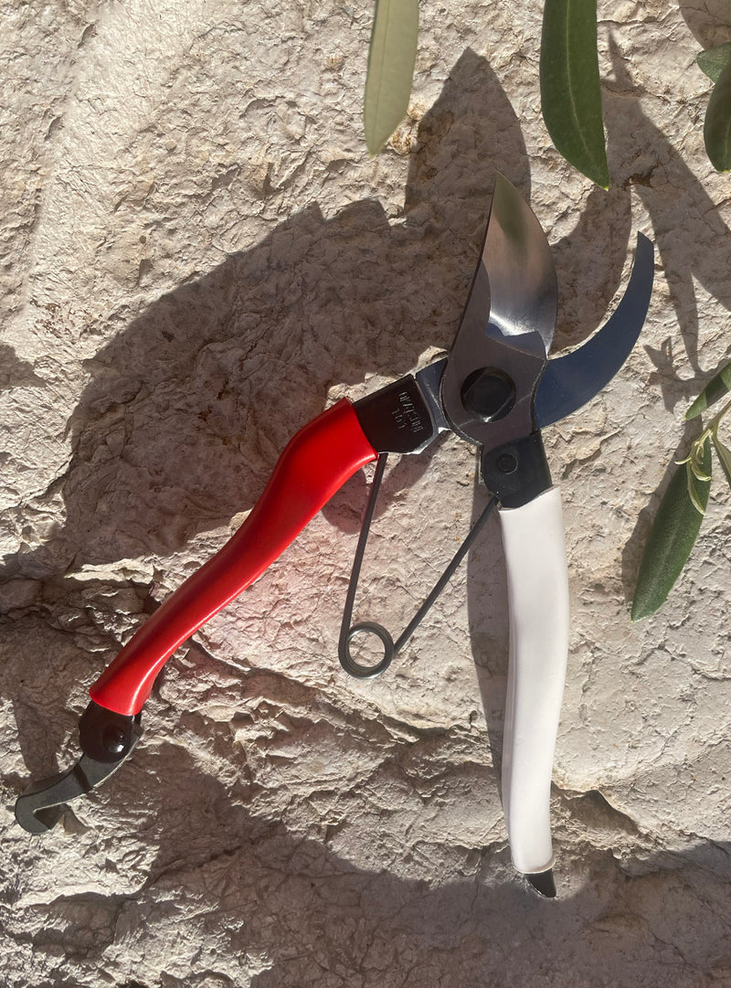 Japanese secateurs Sentei basami Okatsune 101 Jardiniste