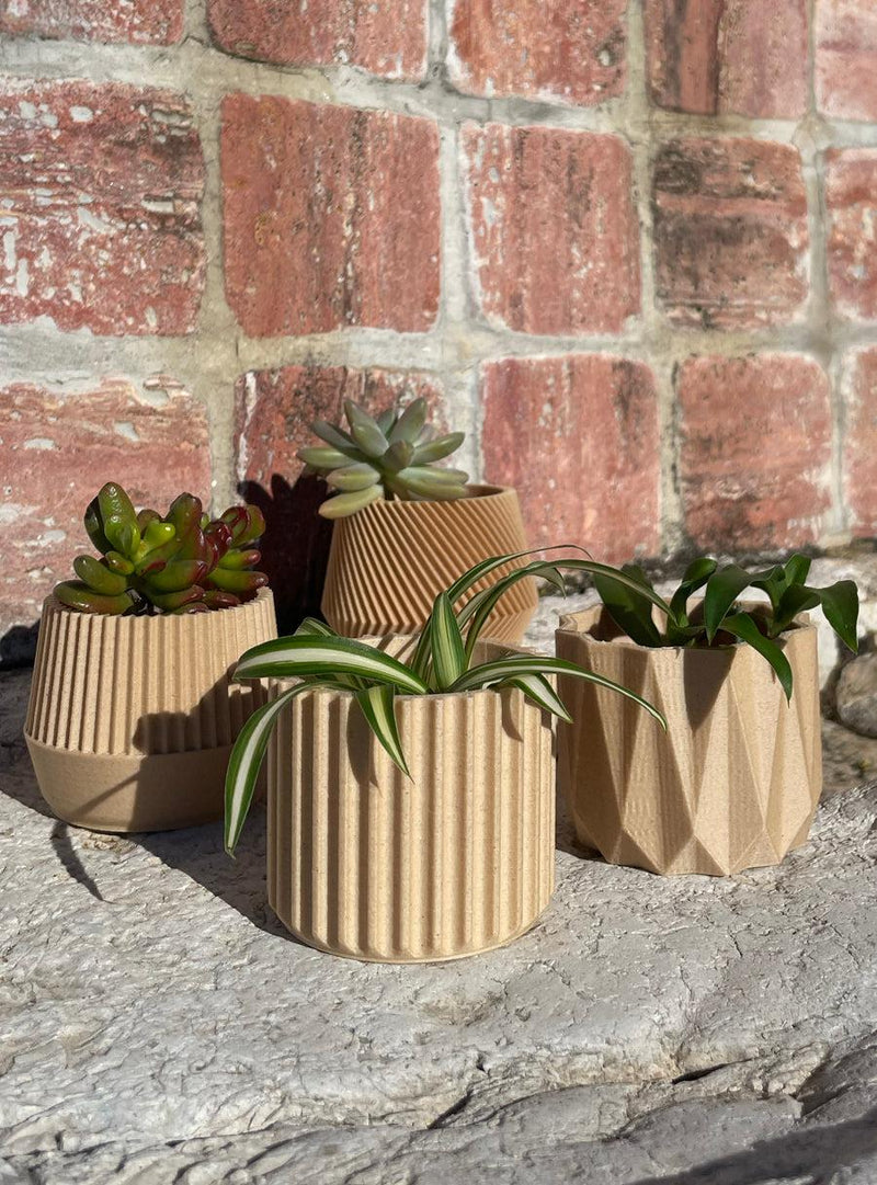 Indoor Wood Planters - Set of 4