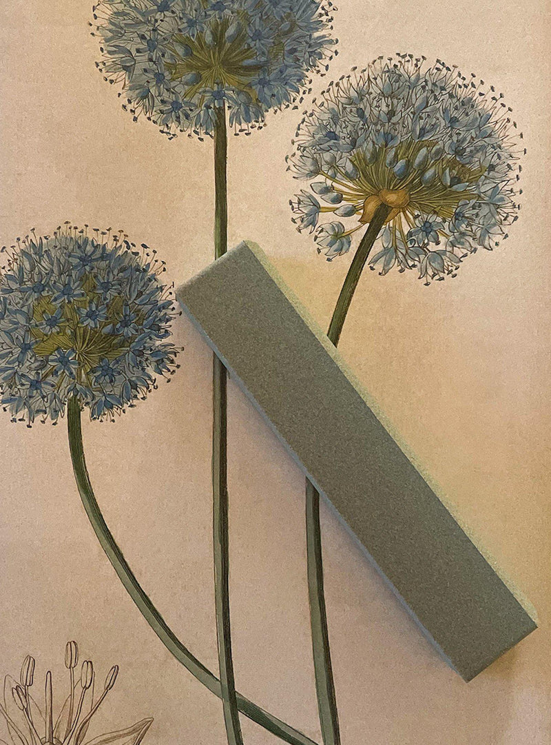 Pierre à aiguiser - Grain épais-Niwaki-Jardiniste