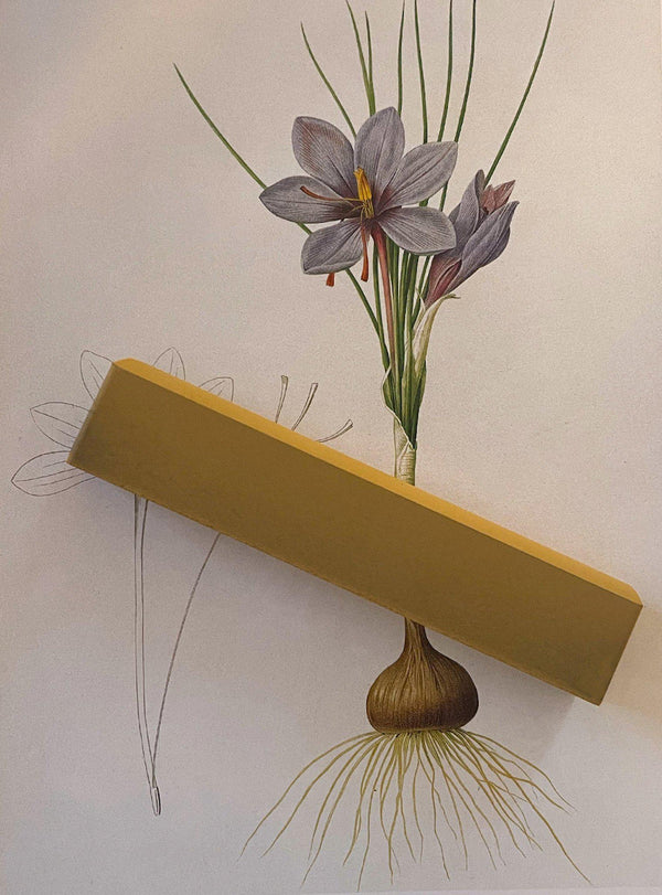 Pierre à aiguiser - Grain fin-Niwaki-Jardiniste