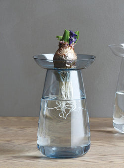 Grand vase Aquaculture en verre bleu-Kinto-Jardiniste