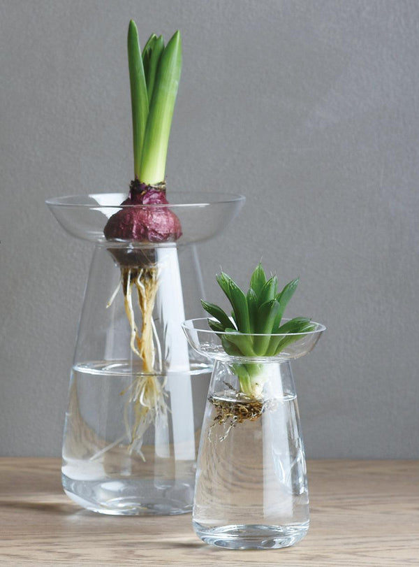 Vases Aqua culture en verre - Duo