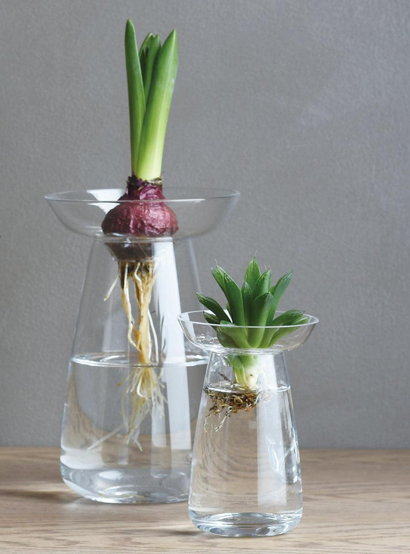 Aqua culture glass vases - Duo