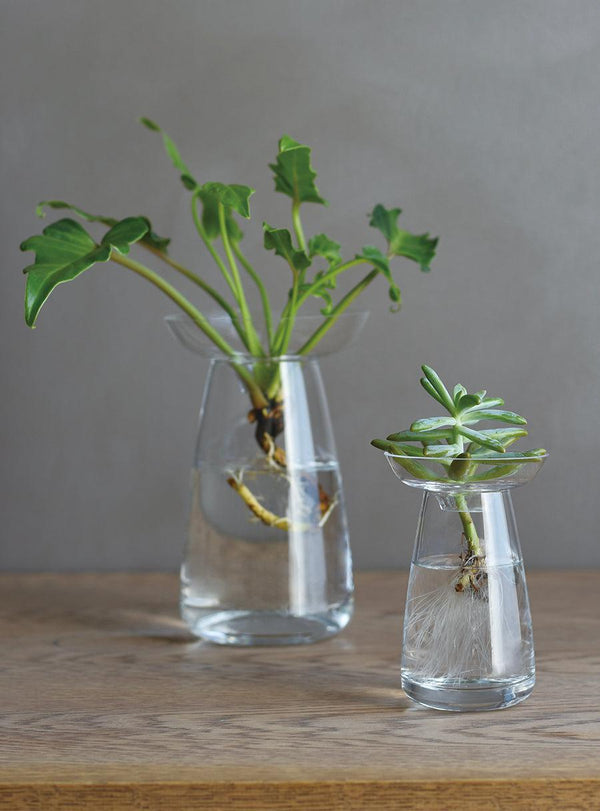 Aqua culture glass vases - Duo