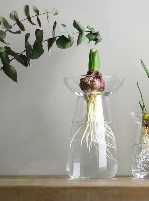 Grand vase Aqua Culture en verre