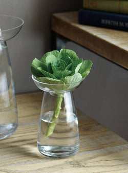 Vase Aquaculture en verre-Kinto-Jardiniste