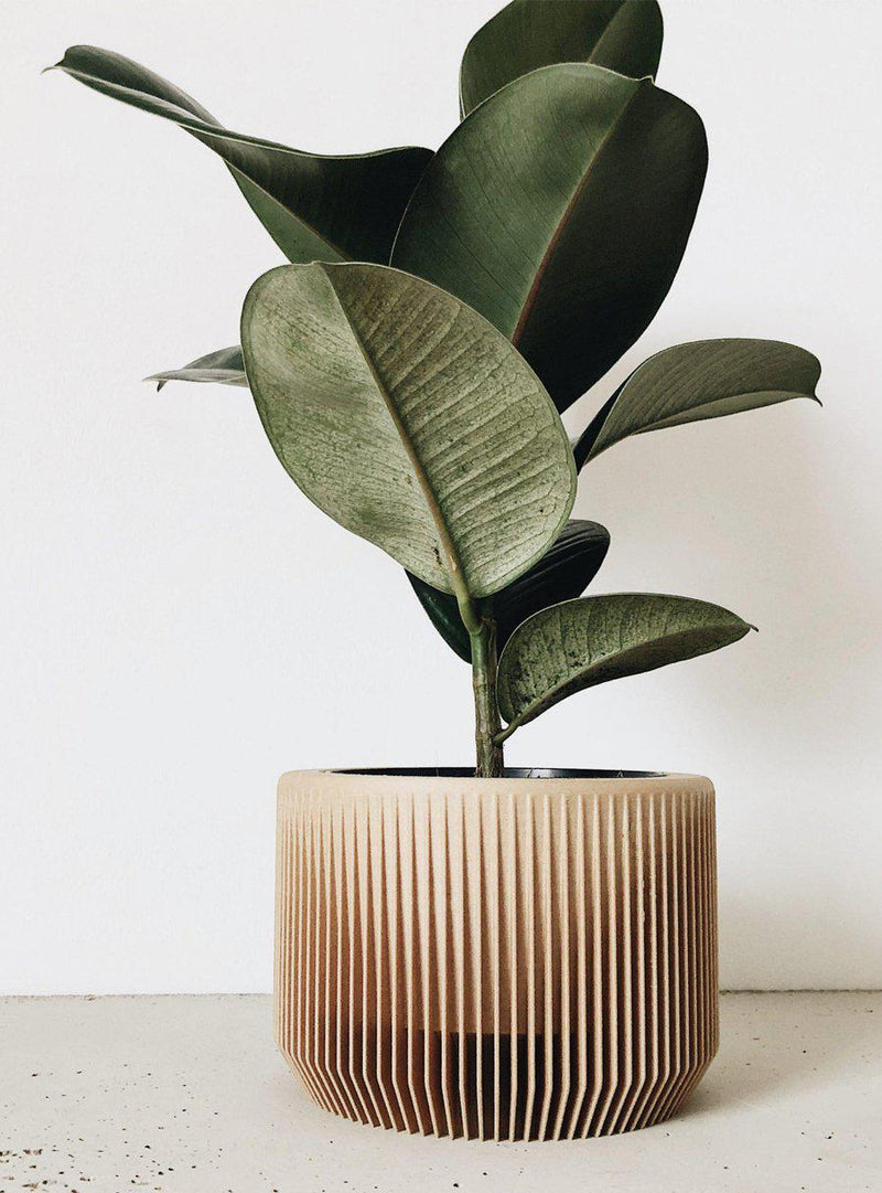 Cache-pot-Minimum Design-Jardiniste