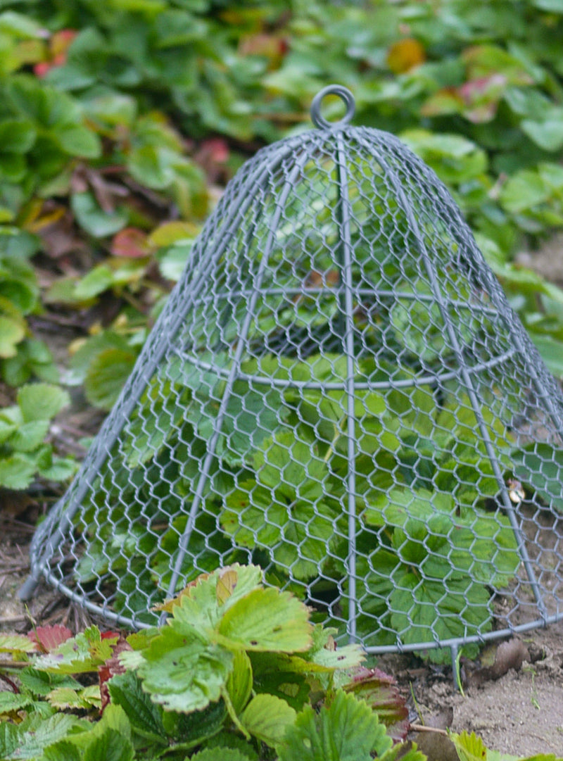 Le filet de protection jardin pour protéger votre potager des