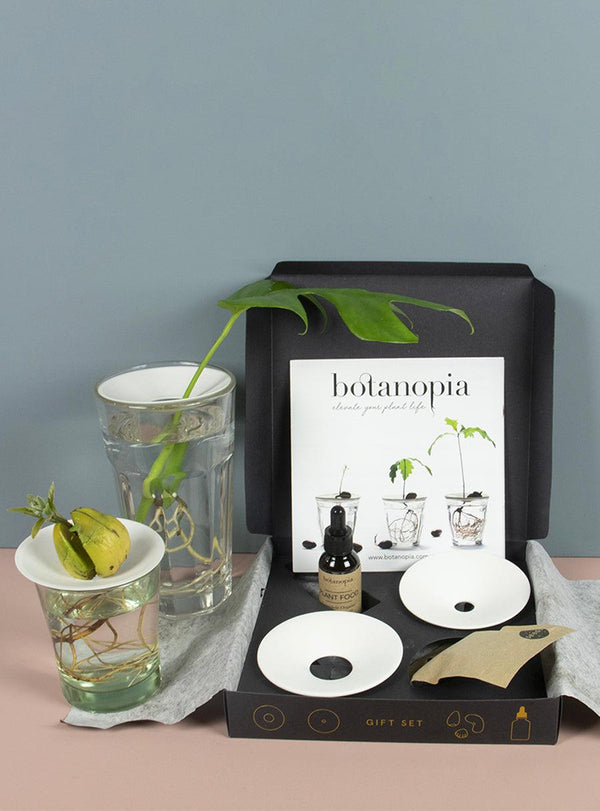 Coffret de germination Noyaux & Boutures-Botanopia-Jardiniste