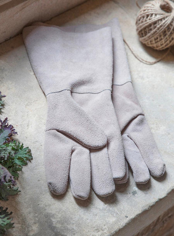 Gauntlet Gloves