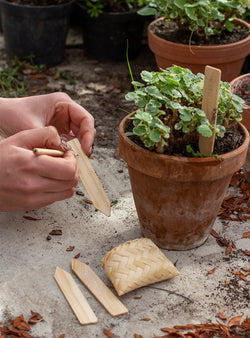 Garden Tags