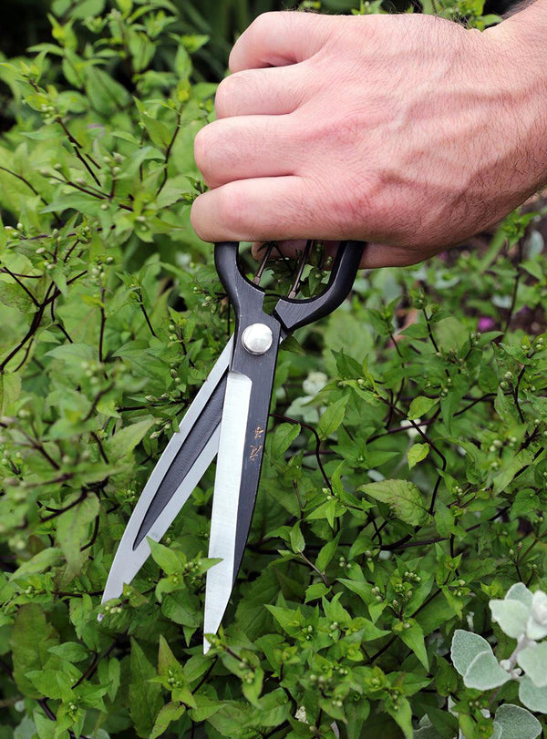 Sentei Topiary Clippers