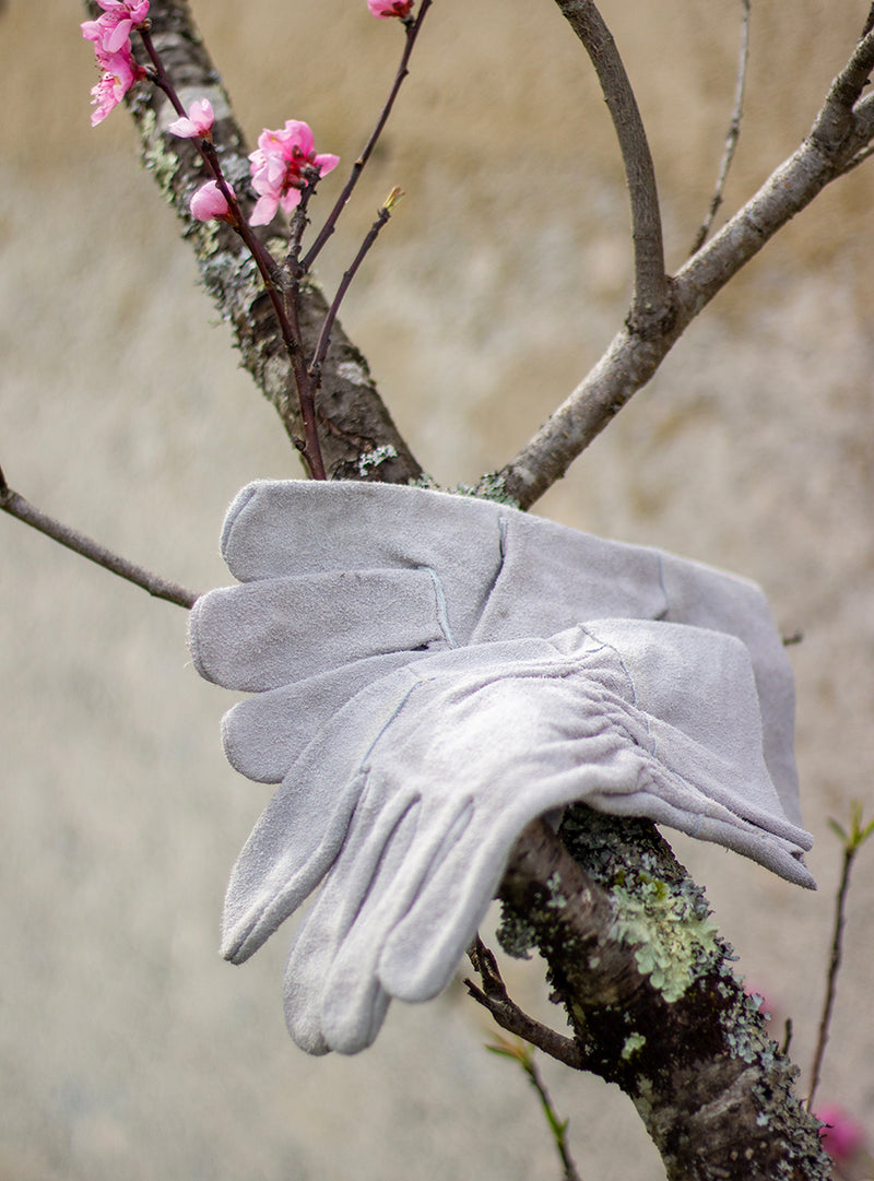 Gants de jardin