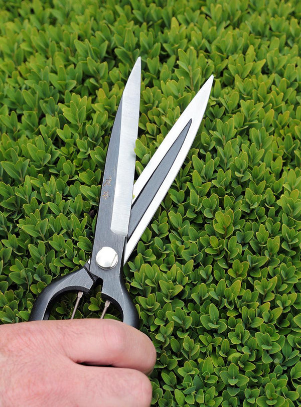 Sentei Topiary Clippers