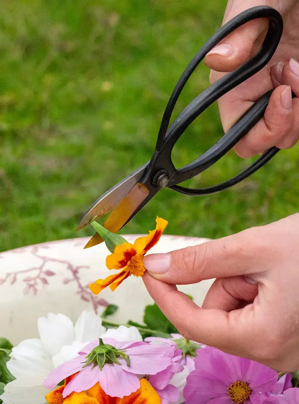 Japanese Garden Scissors