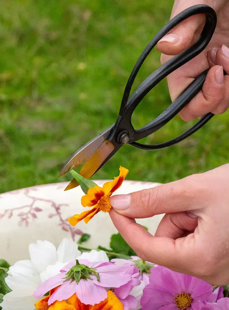 Sentei ciseaux de jardin par Niwaki chez Maison Godillot