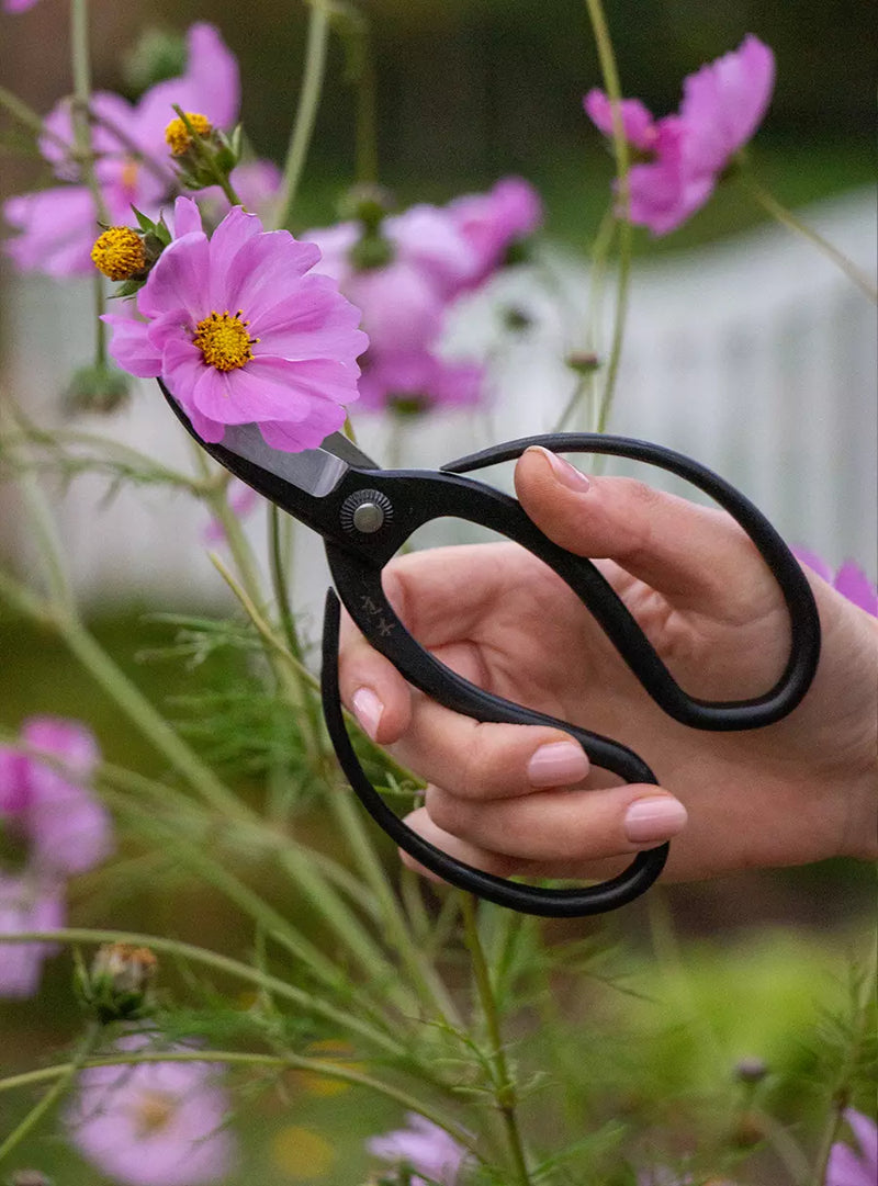 Japanese Garden Scissors