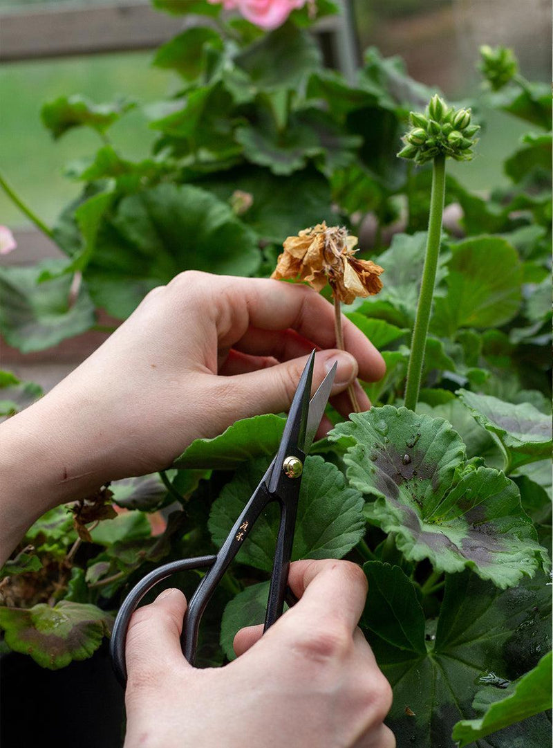 Higurashi Forged Japanese Scissors
