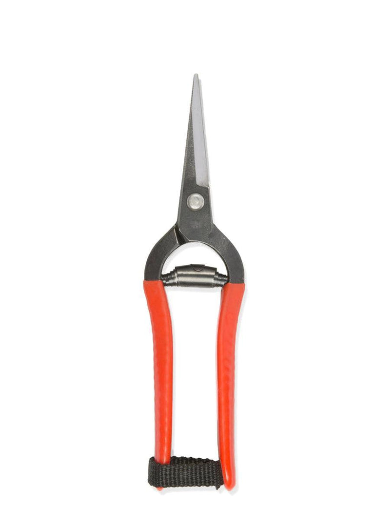 Japanese Forged Snips