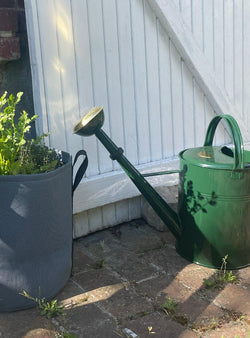Grand arrosoir en métal 9 litres - vert sapin-Plint-Jardiniste