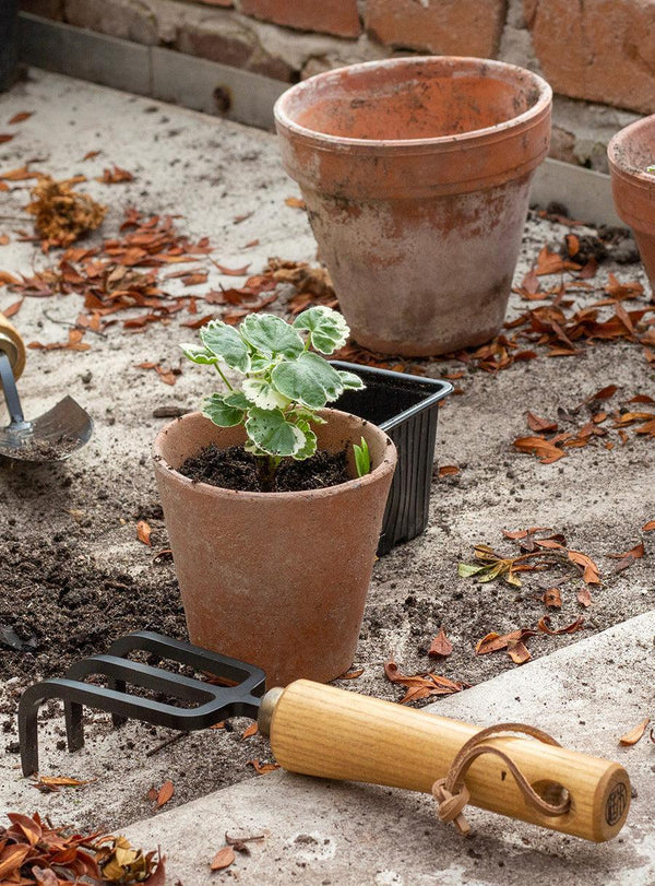 Small Japanese Cultivator