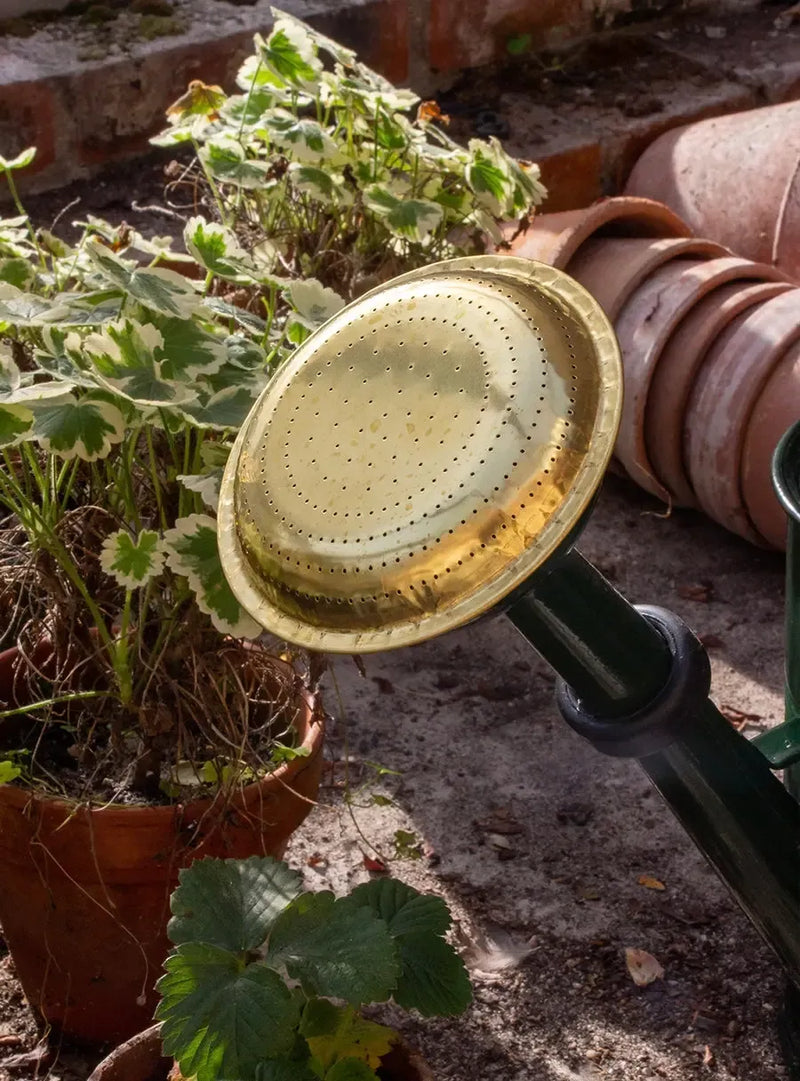 Arrosoir en métal 5L - vert