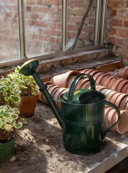 Arrosoir en métal 5L - vert