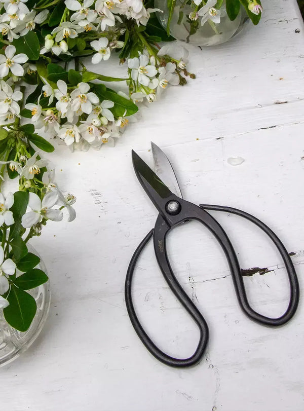 Japanese Garden Scissors