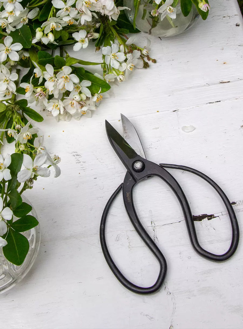 Japanese gardening on sale scissors